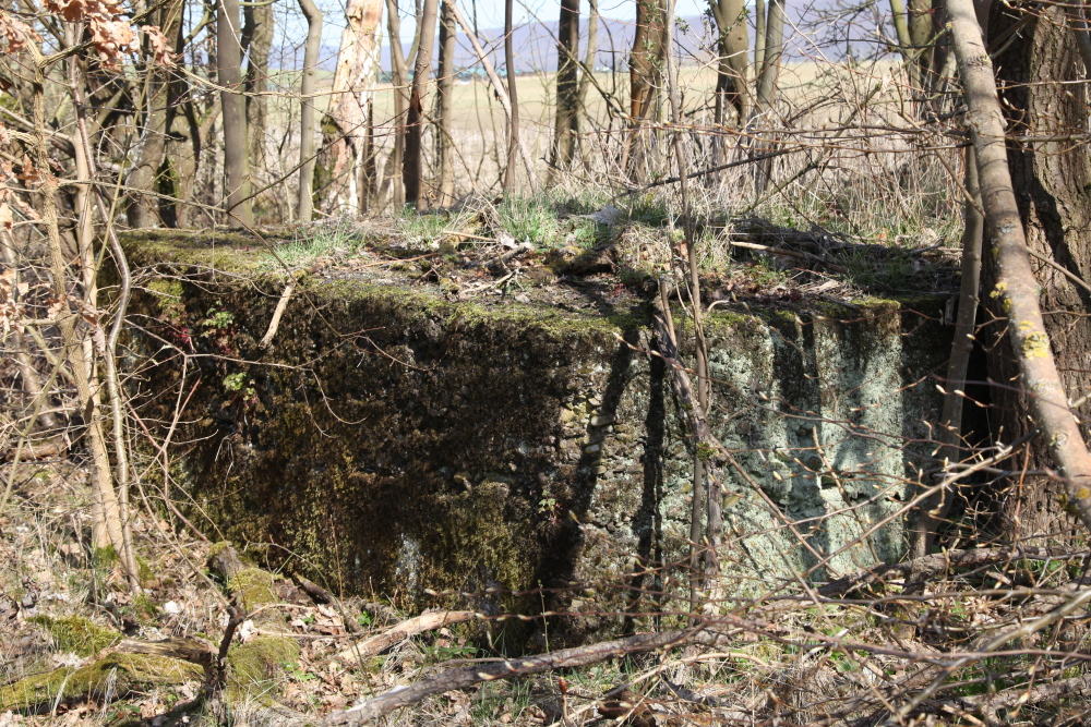 Verladung f�r Rigips-Werke, 2018